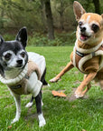 Tiny Trails Step In Soft Touch Suede Effect Faux Fur Lined Puppy and Small Dog Harness Mocha