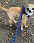 Tiny Trails Reflective 15mm Webbing Lead with Neoprene Handle Lining Navy