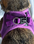 Tiny Trails Step In Air Mesh Puppy and Small Dog Harness Purple