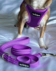 Tiny Trails Step In Air Mesh Puppy and Small Dog Harness Purple