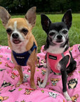 Tiny Trails Step In Air Mesh Puppy and Small Dog Harness Navy