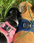 Tiny Trails Step In Air Mesh Puppy and Small Dog Harness Navy