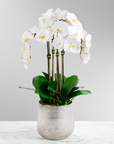 Tall Faux Orchid Arrangement in Vase