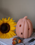Terracotta Pumpkin Tealight Holder