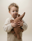 Soft Dinosaur Plush Toy – Brown