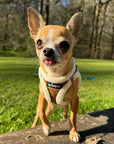 Tiny Trails Step In Soft Touch Suede Effect Faux Fur Lined Puppy and Small Dog Harness Mocha