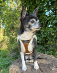 Tiny Trails Step In Soft Touch Suede Effect Faux Fur Lined Puppy and Small Dog Harness Mocha