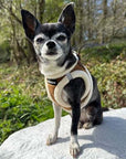 Tiny Trails Step In Soft Touch Suede Effect Faux Fur Lined Puppy and Small Dog Harness Mocha