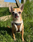 Tiny Trails Step In Soft Touch Suede Effect Faux Fur Lined Puppy and Small Dog Harness Mocha