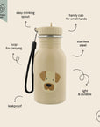 Stainless Steel Water Bottle 350 ml for Kids
