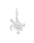 Turtle Silver Charm