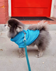 Cerulean Blue British Wool Dog Jumper