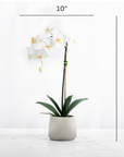 Artificial Orchid Plant White Orchid Plant