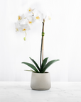 Artificial Orchid Plant White Orchid Plant