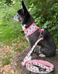 Luxury White Vintage Floral Lead by My Pup and Me