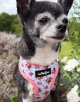 Luxury White Vintage Floral Harness by My Pup and Me