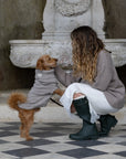 Oatmeal British Wool Dog Jumper