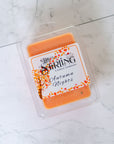 Autumn Nights - Wax Melt Clamshell
