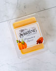 Pumpkin Spice - Wax Melt Clamshell