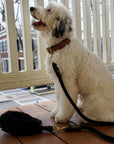 Bundle Shearling Fur Grip + Rope Leash for Dogs
