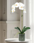 Artificial Orchid Plant in Vase - 20"