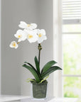 Mini Orchid Arrangement in Square Glass Vase