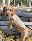 Cashmere Dog Jumper, Natural