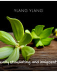 Natural Soap - Ylang Ylang