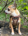 Tiny Trails Step In Luxury Leopard Fur Lined Puppy and Small Dog Harness