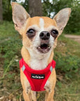 Tiny Trails Step In Air Mesh Puppy and Small Dog Harness Red