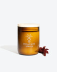 Handmade Aromatic Cleansing Candle – Transformative & Eco-Friendly by Smells Like Spells at www.brixbailey.com