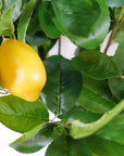 120cm Premium Artificial Lemon Tree-4