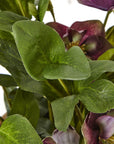 Faux Plum Hellebore in Taupe Ceramic Pot