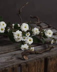 White wild meadow rose spray, lifelike floral decor with pristine plastic petals and foliage, 74cm tall by sostter at brixbailey.com