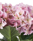 Romantic Pink Hydrangea Bouquet