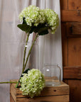 Oversized Green Hydrangea Stem Decoration