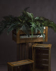 Lifelike artificial fern bunch with cascading foliage, realistic vein patterns, and natural forest green hues, 60cm tall. by sostter at brixbailey.com