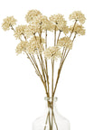 Cream Faux Allium Flower Stem