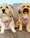 Luxe Adjustable Harness - Mocha Petals
