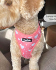 Adjustable Harness - Peachy Hearts