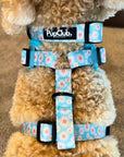 Collar - Pastel Daisy