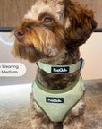 Collar - Tweed Sage