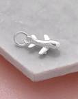 Aeroplane Silver Charm