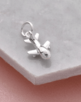 Aeroplane Silver Charm