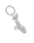 Aeroplane Silver Charm