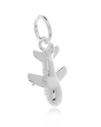 Aeroplane Silver Charm