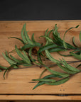 Lifelike artificial willow eucalyptus spray with dark green foliage, 50-inch stems, for home decor by sostter at brixbailey.com