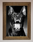 Angry Doberman Dog Framed Wall Art