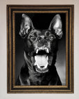 Angry Doberman Dog Framed Wall Art