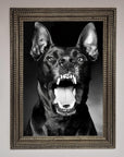 Angry Doberman Dog Framed Wall Art
